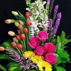 Meet your Posher, Elena